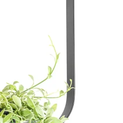 Moderne Deckenleuchte schwarz mit Glas rechteckig - Roslini