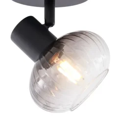 Moderne Deckenleuchte schwarz mit rundem Rauchglas - Teddy