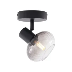 Moderne Deckenleuchte schwarz mit rundem Rauchglas - Teddy