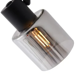 Moderne Deckenleuchte Schwarz mit rundem Rauchglas - Cilin