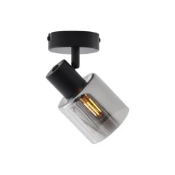 Moderne Deckenleuchte Schwarz mit rundem Rauchglas - Cilin