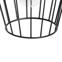 Moderne Deckenleuchte Schwarz Draht - Palica