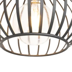 Moderne Hängelampe schwarz 4-Licht - Sapphira