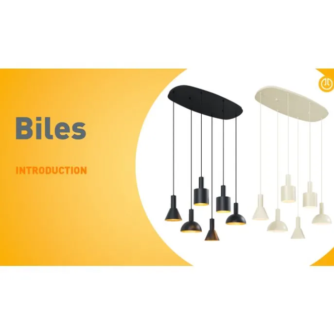 Moderne Hängelampe Schwarz 6-flammig - Biles