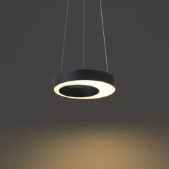 Moderne Hängelampe schwarz 35cm 3-Stufen-Dimmbar - Organici