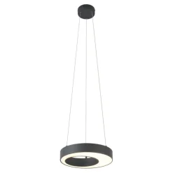 Moderne Hängelampe schwarz 35cm 3-Stufen-Dimmbar - Organici