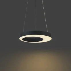 Moderne Hängelampe schwarz 50cm inkl. LED 3-Stufen-Dimmbar - Organici