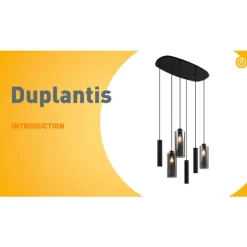 Moderne Pendelleuchte Schwarz mit Rauchglas 6-flammig - Duplantis