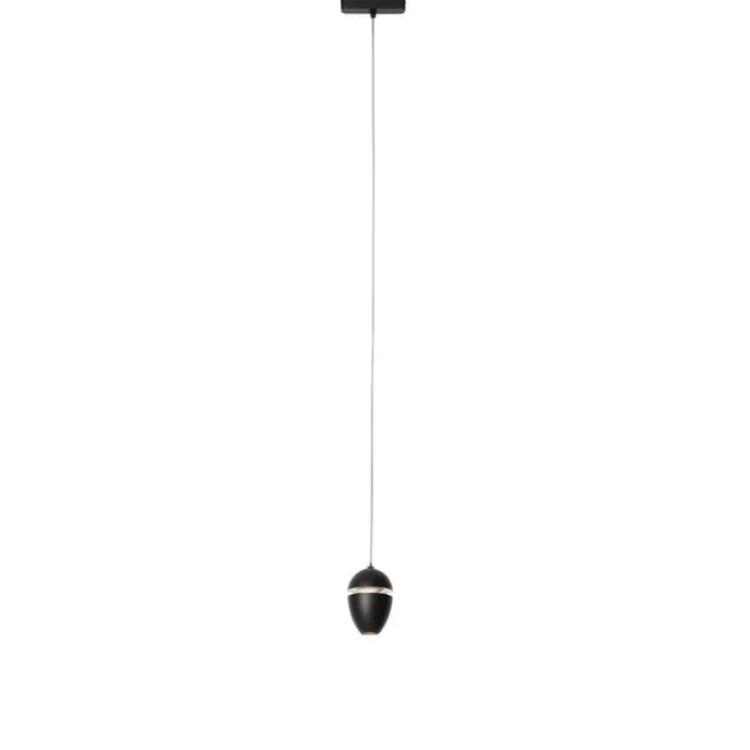 Moderne schwarze Pendelleuchte für 1-Phasen-Schienensystem inkl. LED - Magnetic Eggy
