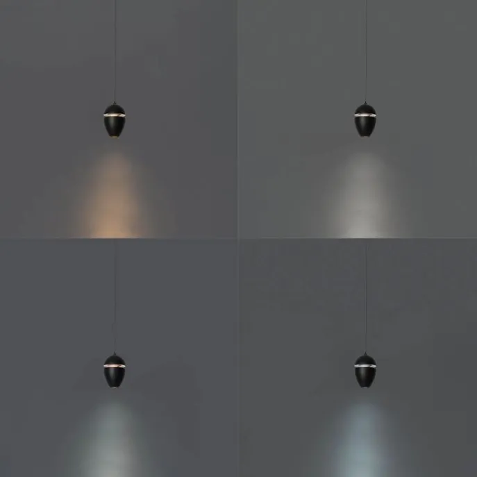 Moderne schwarze Pendelleuchte für 1-Phasen-Schienensystem inkl. LED - Magnetic Eggy