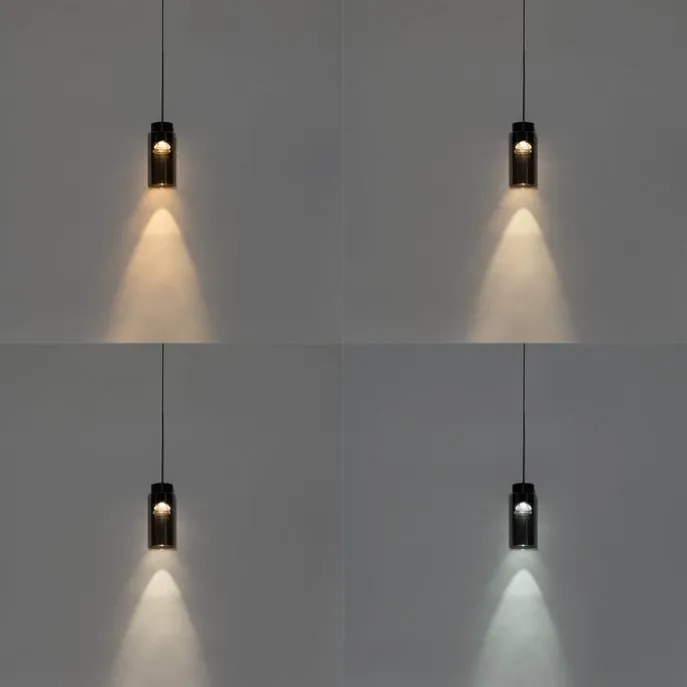 Moderne schwarze Pendelleuchte für Schienensystem 1-phasig inkl. LED - Magnetic Vance