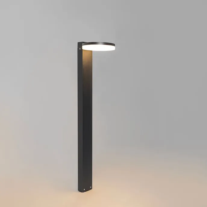 Moderne stehende Außenleuchte schwarz 80 cm inkl. LED IP44 - Esmee