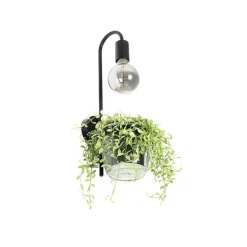 Moderne Wandlampe schwarz mit Glas - Roslini