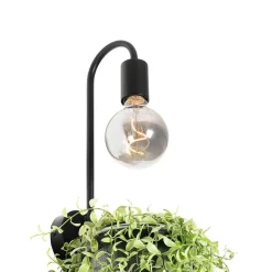 Moderne Wandlampe schwarz mit Glas - Roslini