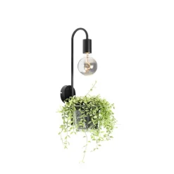 Moderne Wandlampe schwarz mit Glas - Roslini