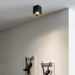 Moderner Aufbaustrahler mit Gold - Quba delux