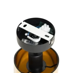 Moderner Deckenspot schwarz mit Gold - Lofty