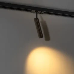 Moderner Dunkelbronze-Spot für 1-phasiges Schienensystem - Iconic Ivy