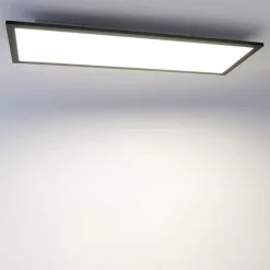 Modernes LED-Panel schwarz 80 cm inkl. LED - Liv