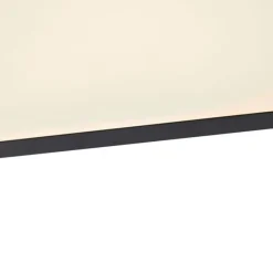 Modernes LED-Panel Schwarz 120 cm inkl. LED - Liv