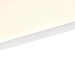 Modernes LED-Panel Stahl 120 cm inkl. LED 4-stufig dimmbar - Liv