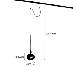 Pendelleuchte mit Schienenaufhängung schwarz inkl. LED G220 - Cavalux