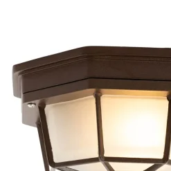 Rustikale Deckenleuchte Rostbraun 21,3 cm IP44 - Bri