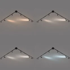 Schienensystem mit 6 Strahlern und 2 Deckenleuchten schwarz 1-phasig - Magnetic Gert Puntua