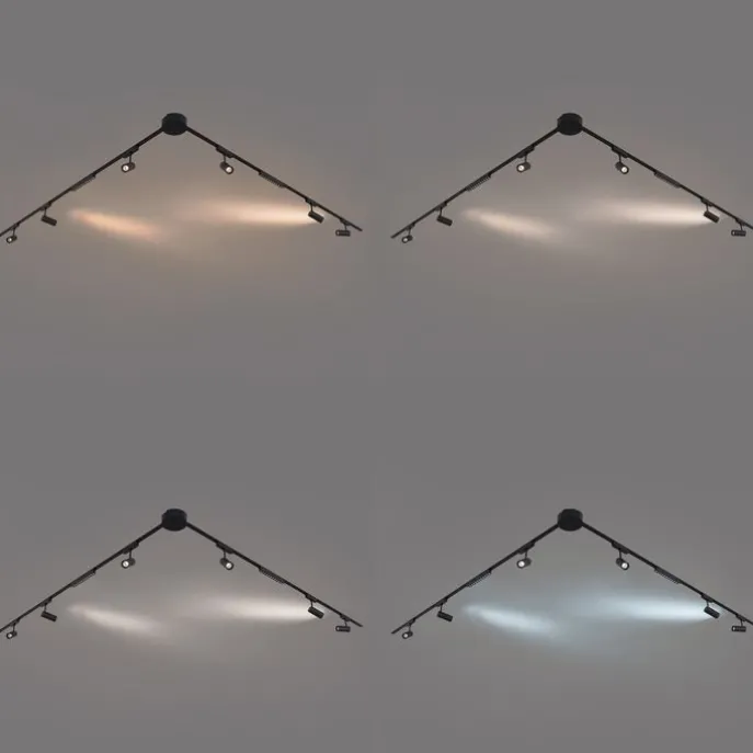 Schienensystem mit 6 Strahlern und 2 Deckenleuchten schwarz 1-phasig - Magnetic Gert Puntua