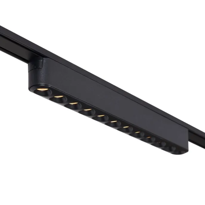 Schienensystem mit 6 Strahlern und 2 Deckenleuchten schwarz 1-phasig - Magnetic Gert Puntua