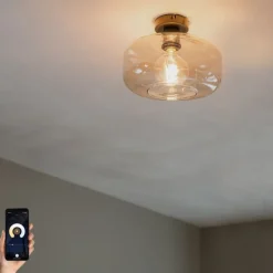 Smart Ceiling Lamp Black with Amber Glass incl. Wifi A60 - Bizle