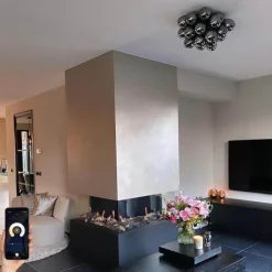 Smart Deckenleuchte schwarz mit Rauchglas inkl. 6 Wifi G9 - Uvas