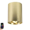 Smart Design Spot Gold inkl. GU10 WiFi Lichtquelle - Rondoo Up