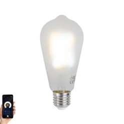Smart E27 Dimmbare LED-Glühbirnen ST64 Matt 7W 806 lm 2700-6500K
