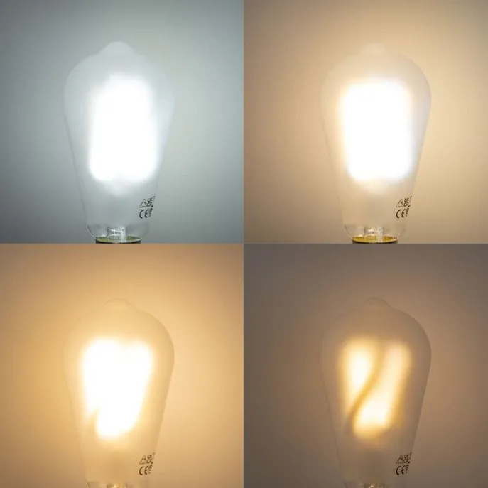 Smart E27 Dimmbare LED-Glühbirnen ST64 Matt 7W 806 lm 2700-6500K