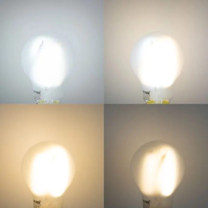 Smart E27 Dimmbare LED-Glühbirnen A60 Matt 7W 806lm 2700-6500K