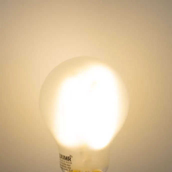 Smart E27 Dimmbare LED-Glühbirnen A60 Matt 7W 806lm 2700-6500K