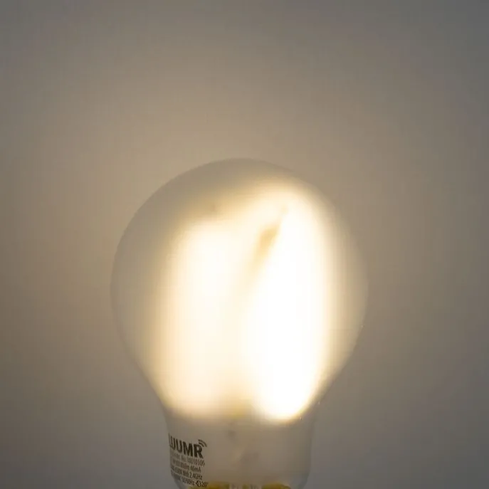 Smart E27 Dimmbare LED-Glühbirnen A60 Matt 7W 806lm 2700-6500K