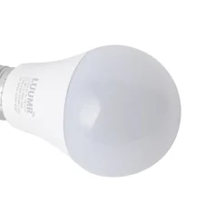 Smart E27 LED Glühbirnen A60 Matt RGBW 9W 806lm 2700-6500K