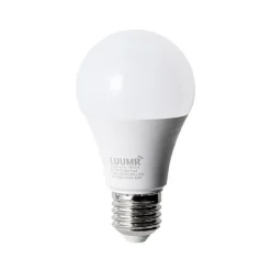 Smart E27 LED Glühbirnen A60 Matt RGBW 9W 806lm 2700-6500K