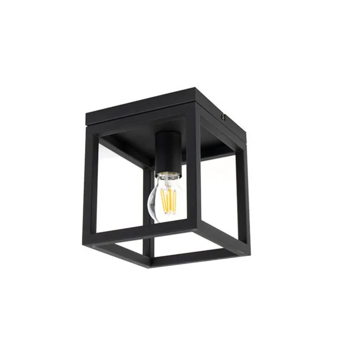 Smart Industrie Deckenleuchte schwarz inkl. WiFi A60 - Käfig 1