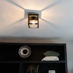 Smart Industrie Deckenleuchte schwarz inkl. WiFi A60 - Käfig 1