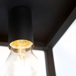 Smart Industrie Deckenleuchte schwarz inkl. WiFi A60 - Käfig 1