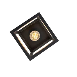 Smart Industrie Deckenleuchte schwarz inkl. WiFi A60 - Käfig 1