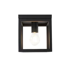 Smart Industrie Deckenleuchte schwarz inkl. WiFi A60 - Käfig 1