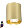 Smart Spot gold inkl. WiFi GU10 - Tubo