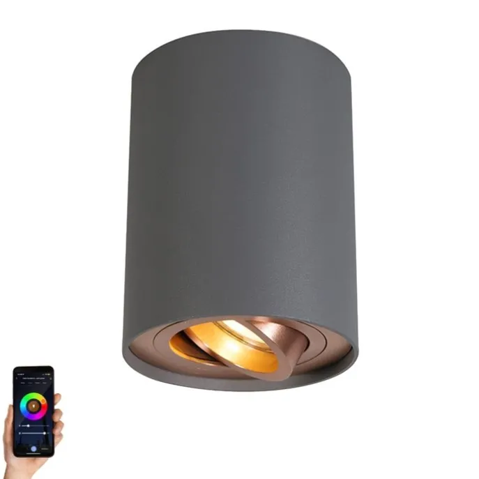 Smart Spot grau mit Kupfer inkl. GU10 WiFi Lichtquelle - Rondoo Up