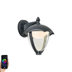 Smarte Außenwandleuchte schwarz mit Klarglas inkl. LED IP54 - Classica