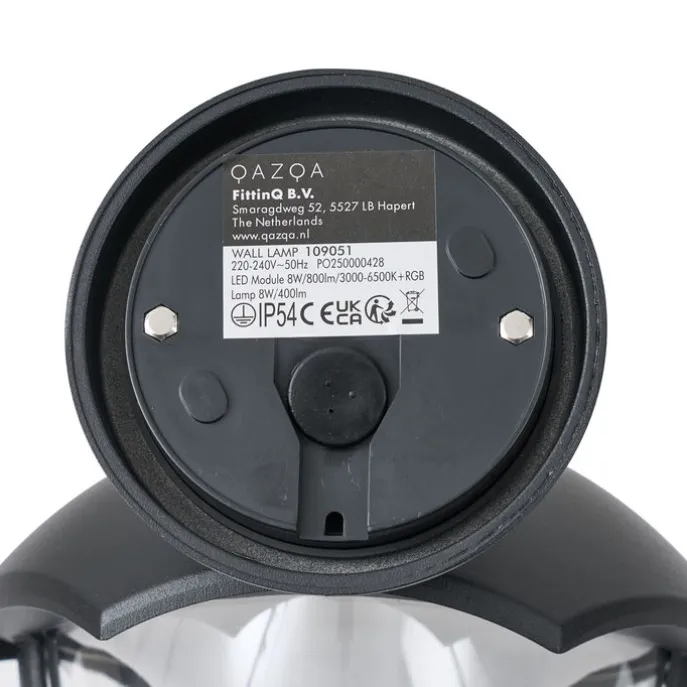 Smarte Außenwandleuchte schwarz mit Klarglas inkl. LED IP54 - Classica