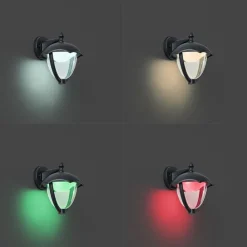 Smarte Außenwandleuchte schwarz mit Klarglas inkl. LED IP54 - Classica